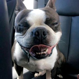 Meet your Posher, Nate